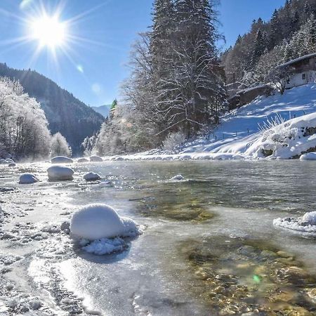 Apartament Haus Frei-Nagele Alpbach Zewnętrze zdjęcie