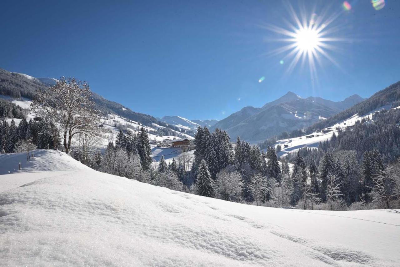 Apartament Haus Frei-Nagele Alpbach Zewnętrze zdjęcie