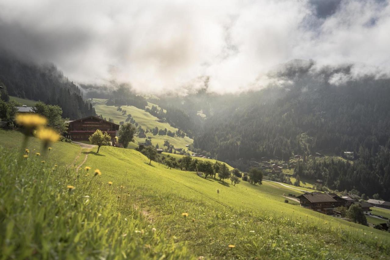 Apartament Haus Frei-Nagele Alpbach Zewnętrze zdjęcie