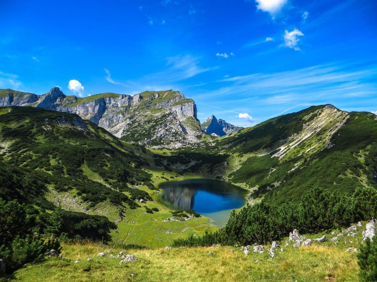 Apartament Haus Frei-Nagele Alpbach Zewnętrze zdjęcie